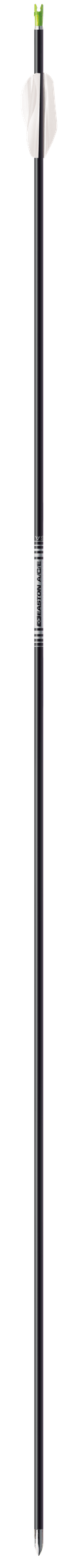 Easton A/C/E Barrels 12 Stück, Baseball- oder Softball-Design, hochwertige Easton Marke, sportliche Ausrüstung, Nahaufnahme